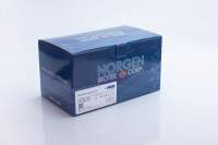 Dx45400 Saliva DNA Isolation Kit ( 50 rxn )